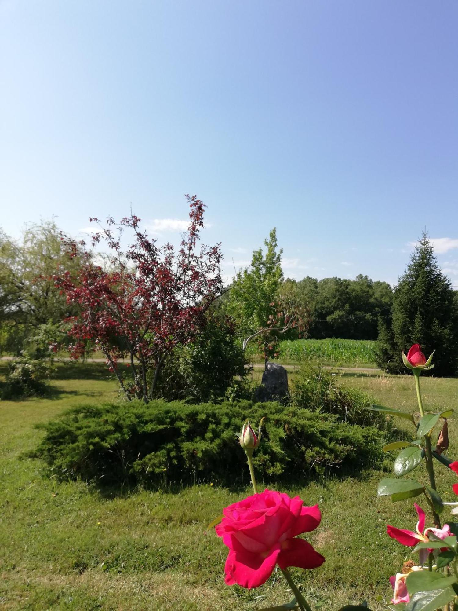 Suite Jomenisa Auriebat Exterior photo
